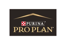 Pro Plan